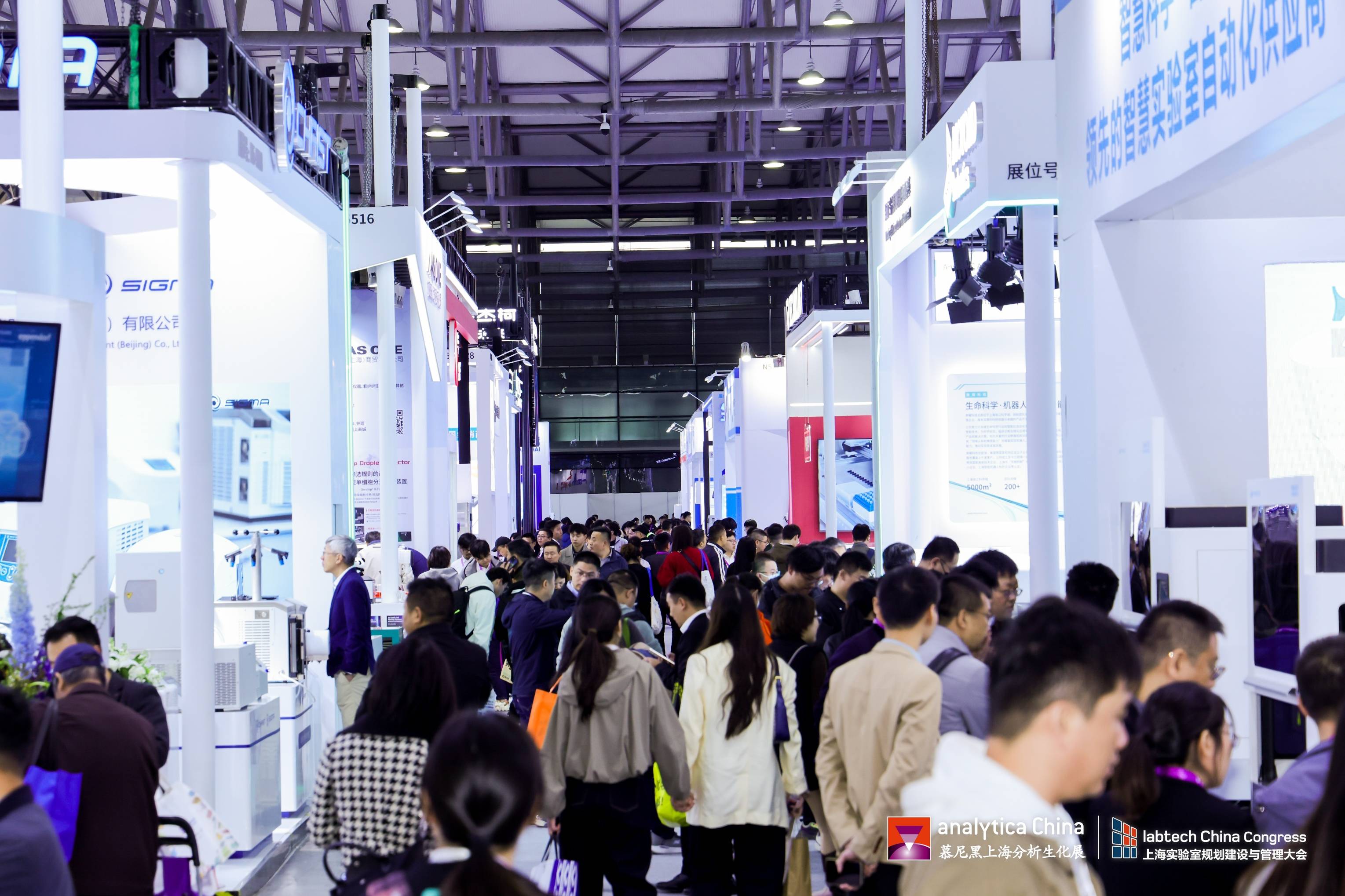 1732153496669316.jpg 2_3320614(1).jpg